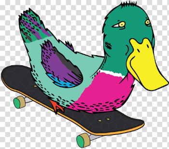 Welcome! • AYLESBURY SKATEBOARDS