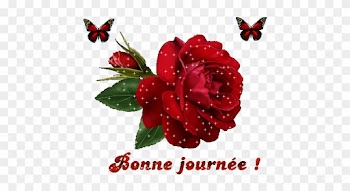 Welcome Rose
