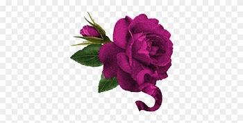 Welcome Rose