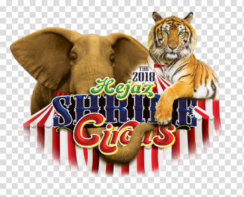 Welcome to the 2019 Hejaz Shrine Circus - It's more than just a ...