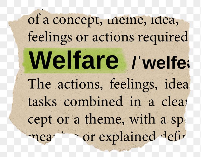 Welfare png word sticker, torn | Free PNG - rawpixel