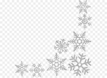 Wells Branch Community Library Central Library Snowflake Clip art - Snowflakes border frame PNG image 