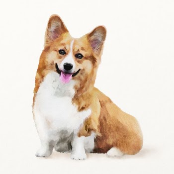 Welsh corgi dog watercolor illustration, | Free Photo Illustration - rawpixel