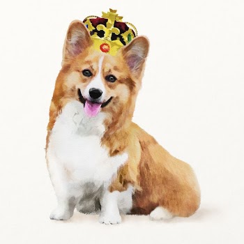 Welsh corgi dog watercolor illustration, | Free Photo Illustration - rawpixel