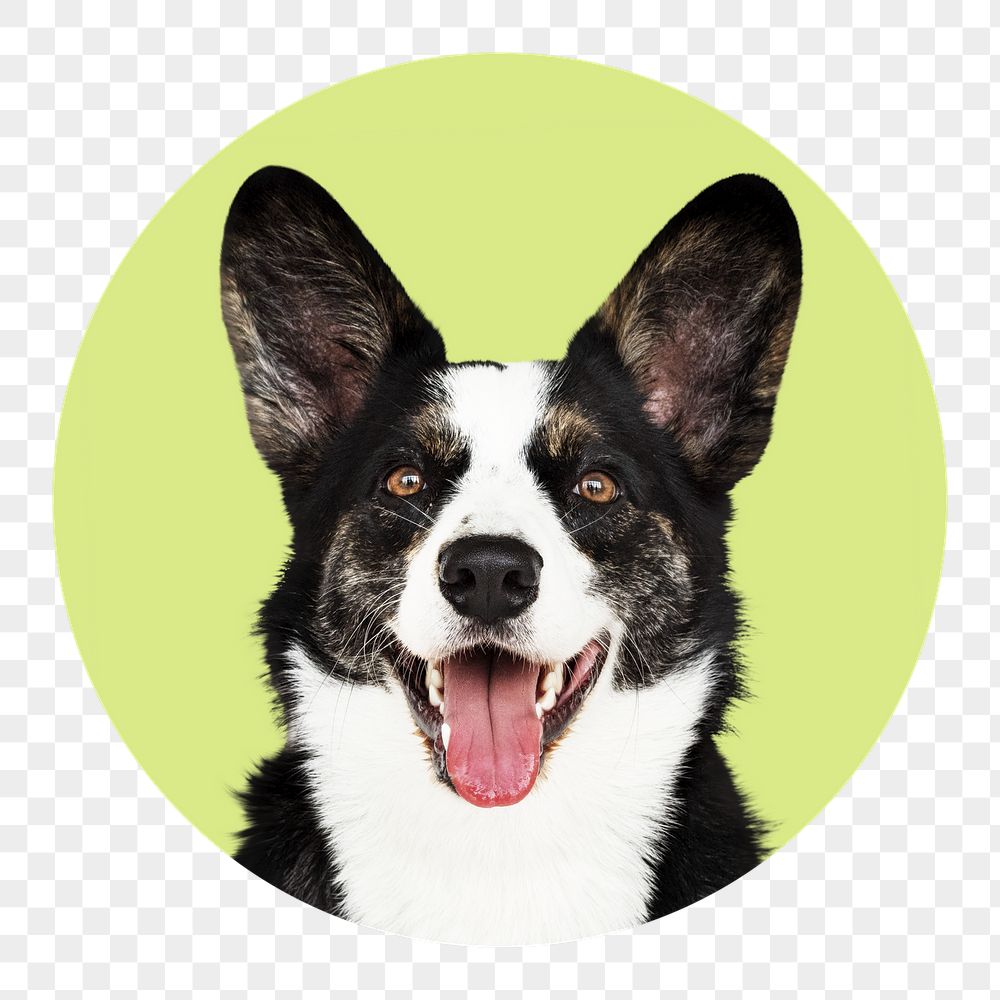 Welsh Corgi png badge sticker, | Free PNG - rawpixel