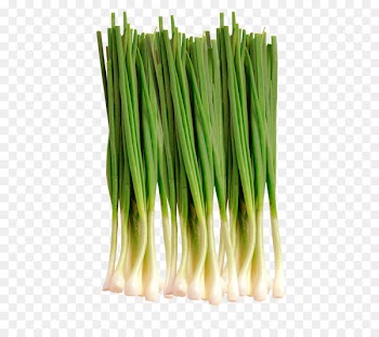 Welsh onion Smartory Salad Vegetable - salad 