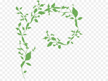 Wendy Fit Yoga & Pilates Palm Harbor Plant stem Leaf - ayurved banner 