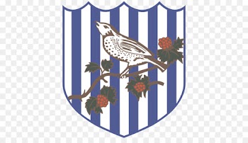 West Bromwich Albion Fc, West Bromwich, Premier League, Bird, Bird Of Prey PNG