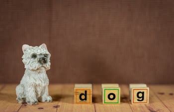 West Highland White Terrier Puppy Figurine