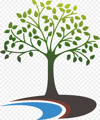 Westbrook Health Services, Inc. Health Care Drug rehabilitation -  