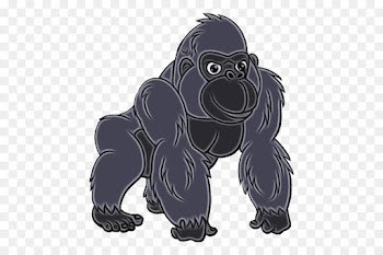 Western Gorilla, Bear, Dog, Primate, Cartoon PNG