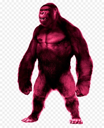 Western gorilla Character Fur Fiction - kingkong vector 