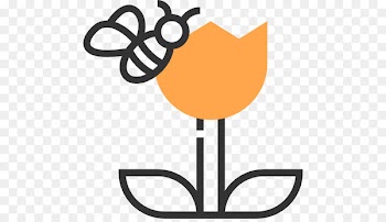Western honey bee Beehive Beekeeping - bee 
