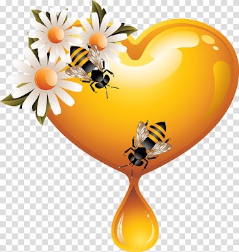 Western honey bee Heart , bee transparent background PNG clipart