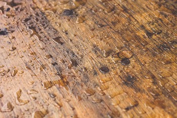 Wet Brown Wood