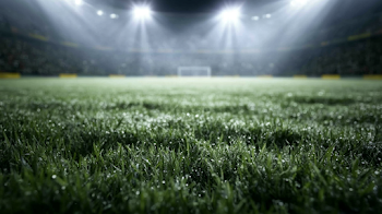 Wet Grass on Soccer Field Under Floodlights