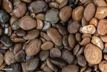 Wet pebbles and rocks on the ground | Free  photo - 2263747