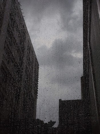 Wet Window
