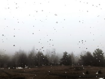 Wet Window