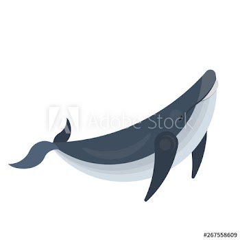 Whale animal