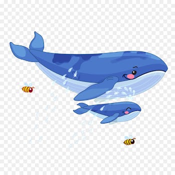 Whale Animal Illustration - Big whale and little whale 