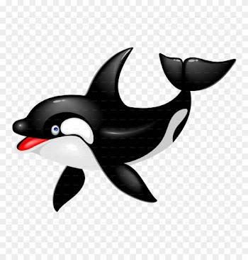 Whale Clipart Baby Killer - Cartoon Baby Killer Whale