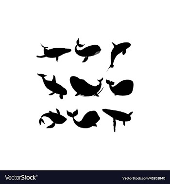 whale fish animal set icon design