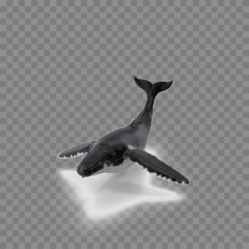 Whale PNG Image with Transparent Background