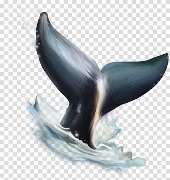 Whale's tail, Dolphin Watercolor painting , Dolphin's tail transparent background PNG clipart