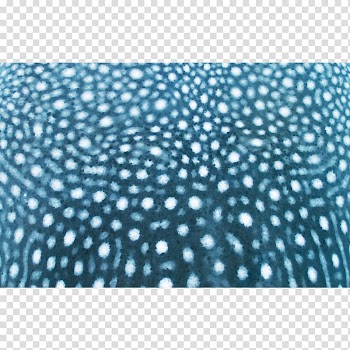 Whale shark Great white shark Pattern, whale watercolor transparent background PNG clipart