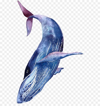 Whale shark Tattoo Humpback whale Blue whale - shark 