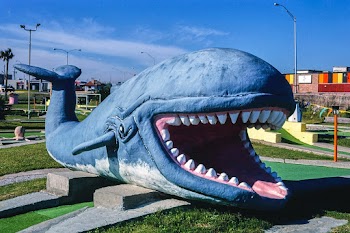 Whale, Stewart Beach mini golf, Galveston,… | Free public domain photo