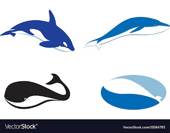  					Whale vector image														
