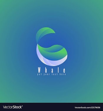 Whale vector image