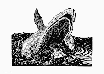 Whale vintage drawing | Free stock vector - 572658