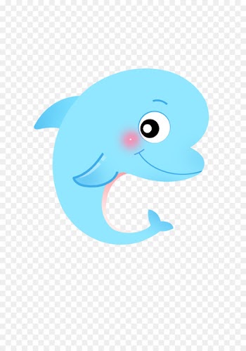 Whales, Dolphins and Porpoises Illustration Marine biology - missouri with words 