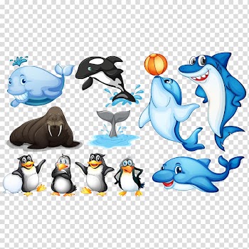 Whales, dolphins, sharks, and penguins illustration, Aquatic animal Sea Illustration, Cartoon penguins and other animals transparent background PNG clipart