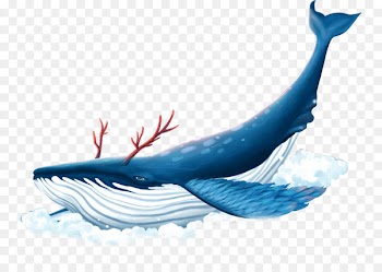 Whales Image Portable Network Graphics Illustration Cartoon - whales 