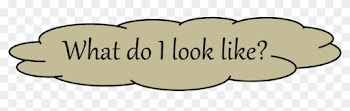 What Do I Look Like Pawprints - Does A Clouded Leopard Live