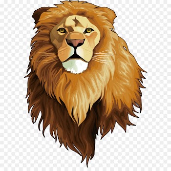 What Is a Carnivore? Omnivore Animal Herbivore - The Lion King Avatar 