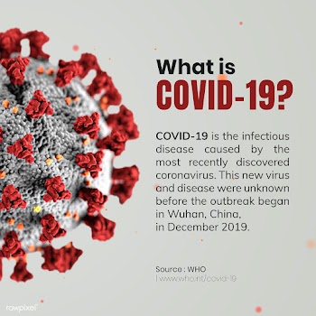 What is COVID-19 social template source WHO vector | Free  vector - 2318794