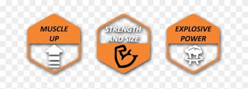 What Is Creatine Creatine Monohydrate Is A Naturally - Creatine