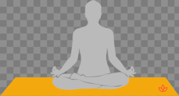 What is Half Lotus Pose? - Definition from Yogapedia