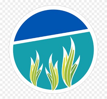 What Is It For - Camera Icon