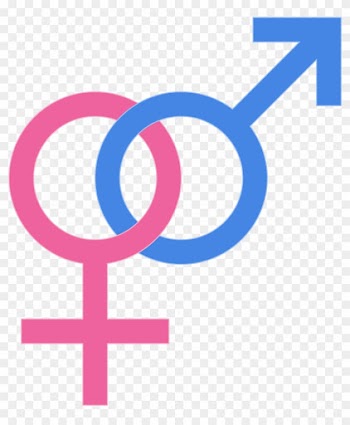 What Mainstream Coverage Is Missing - Girl And Boy Gender Signs