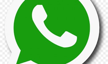 WhatsApp Android Message Windows Phone - airline x chin 