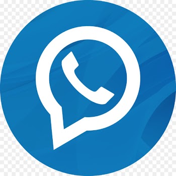 WhatsApp Application programming interface Mobile Phones - login button 