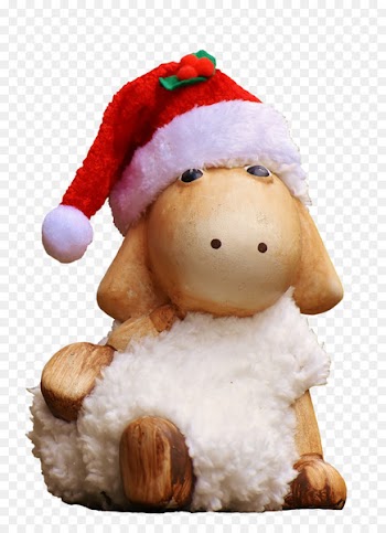 WhatsApp Attitude H & D Investment Group Nv Quotation - sheep 