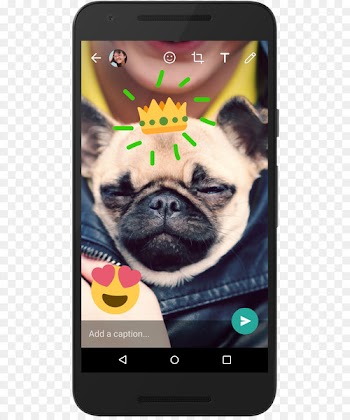 WhatsApp Camera Android Emoji - whatsapp 