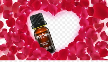 WhatsApp Download Hindi Song - rose essential oil 